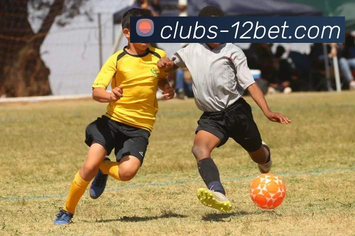 壹贰博12BET官网APP 封面图